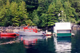 Fishing at Malei-Island